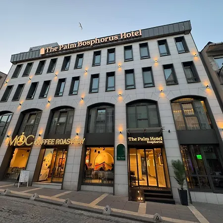 Отель The Palm Bosphorus 3*